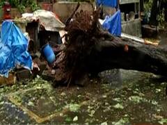 Nisarga Cyclone: मुंबई के Nariman Point इलाके में तूफान से तबाही