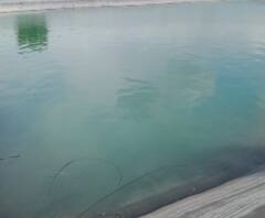 Four Brothers drowned | अहमदनगरच्या श्रीगोंदामध्ये शेततळयात बुडून चार भावांचा मृत्यू