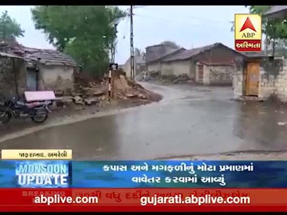 અમરેલી જિલ્લામાં વહેલી સવારથી ધોધમાર વરસાદ, જુઓ વીડિયો