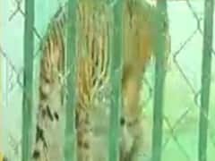 અમદાવાદમાં કાંકરિયા લેકફ્રંટ હજુ ન ખોલવાનો નિર્ણય, જુઓ વીડિયો