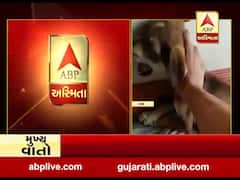 કચ્છમાં વિકૃત માનસિકતા ધરાવતા યુવકે ગલૂડિયાનું ગળુ દબાવી લીધો જીવ, જુઓ વીડિયો