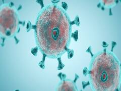 COVID-19 cases surge past 73 lakh globally