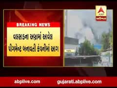 વલસાડના અબ્રામાં આવેલ પીગમેન્ટ બનાવતી કંપનીમાં લાગી આગ, જુઓ વીડિયો