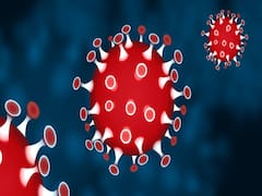 Special Bulletin For Differently-Abled People (14.06.2020)