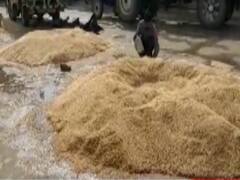MP, राजस्थान में बारिश से बर्बाद हुआ सैंकड़ों टन अनाज