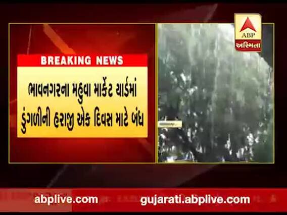 ભાવનગરના મહુવા માર્કેટ યાર્ડમાં ડુંગળીની હરાજી એક દિવસ માટે બંધ, જુઓ વીડિયો