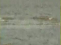 સંભવિત નિસર્ગ વાવાઝોડાના કારણે અમરેલીના 23 ગામોને કરાયા એલર્ટ, જુઓ વીડિયો 