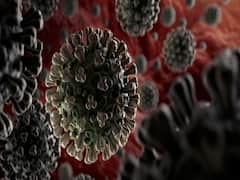 Covid-19 cases in India surge to 3.80 lakh