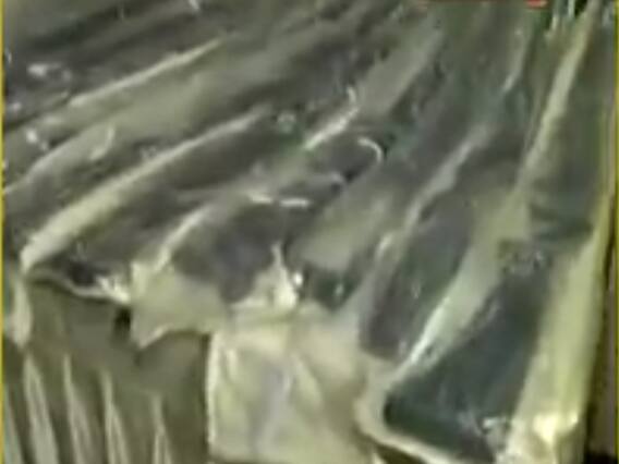 ગુજરાત ATSએ મોરબી-કચ્છમાંથી 50 જેટલા વિદેશી હથિયારો સાથે 11ની કરી અટકાયત, જુઓ વીડિયો