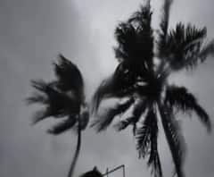 উমপুনের ১৩ দিন পরও বিদ্যুৎহীন! দেখুন কী করল গ্রামবাসীরা 