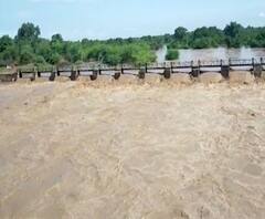 Monsoon 2020 | बुलडाणा, जालना, नंदूरबारमध्ये मुसळधार पाऊस