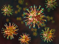 US reports more than 1000 COVID-19 deaths in a day