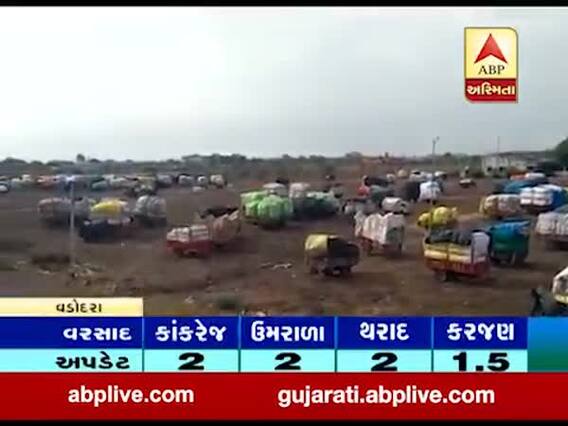 વડોદરાના કરજણમાં વરસાદના કારણે કપાસને થયું નુકસાન, જુઓ વીડિયો 
