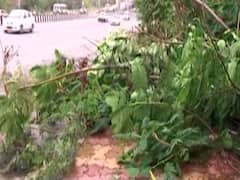 Maharashtra acts swiftly to tackle after-effects of Nisarga: LIVE report