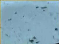 અમદાવાદઃ સોલા સિવિલ હોસ્પિટલના કેમ્પસમાં મચ્છરોનું સામ્રાજ્ય, જુઓ વીડિયો