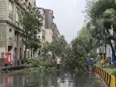 Nisarga Cyclone Aftermath: Trees uprooted, streets flooded | Master Stroke
