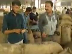 સૌરાષ્ટ્રના તલની વિશ્વમાં વધી માંગ, ચાર દિવસમાં તલના ભાવમાં 150 રૂપિયાનો થયો વધારો