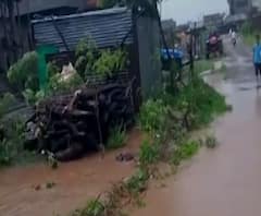 Rural News | वाशिमच्या रिसोड तालुक्यात मुसळधार, शेतीचं नुकसान | माझं गाव माझा जिल्हा 