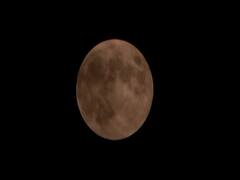 Watch: Full coverage of first lunar eclipse during Covid-19 crisis