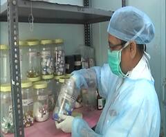 Coronavirus Update | भारतात कोरोनाबाधित रुग्णांची मृत्यूची संख्या 11 हजारांपेक्षा जास्त