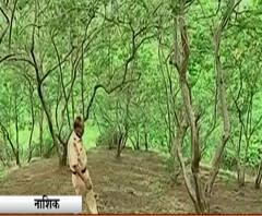 Nashik Suicide | पांडवलेणीच्या डोंगरावर तरुणाचा गूढ मृत्यू, चिखलामुळे मृतदेह खाली आणताना कसरत