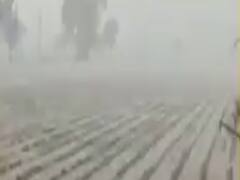 ઉત્તર ગુજરાતમાં બે દિવસ, દક્ષિણ ગુજરાત, સૌરાષ્ટ્ર, કચ્છમાં પાંચ દિવસ ભારે વરસાદની આગાહી