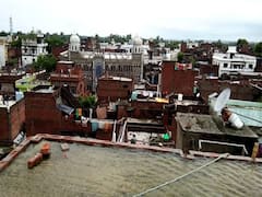 Viral Express: Watch top viral videos of the day