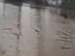 જૂનાગઢઃ માંગરોળમાં ધોધમાર વરસાદથી ખેતરો બેટમાં ફેરવાયા, જુઓ વીડિયો