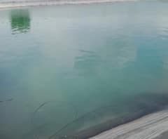 Rural News | माझं गाव माझा जिल्हा | राज्याच्या कानाकोपऱ्यातील बातम्यांचा आढावा 