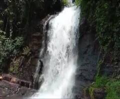 Konkan Waterfall | कोकणातील सवतकडा धबधबा प्रवाहित, कोरोनामुळे पर्यटकांची पाठ