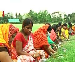  'গো-মাতার নির্দেশ'! স্বাস্থ্যবিধি শিকেয়, পুলিশের নাকের ডগায় ময়দানে 'করোনা পুজো' 