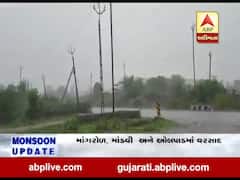 માંગરોળ, માંડવી અને ઓલપાડમાં વરસાદ, જુઓ વીડિયો