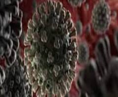 ৭ টায় বাংলা: গত ২৪ ঘণ্টায় রাজ্যে করোনায় মৃত ১৭, কাল থেকে শ্যুটিং শুরু টালিগঞ্জে, সঙ্গে আরও খবর