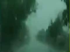 ગુજરાતના 32 તાલુકામાં ખાબક્યો વરસાદઃ જૂનાગઢના માળિયા હાટિનામાં ખાબક્યો પોણા ત્રણ ઇંચ વરસાદ