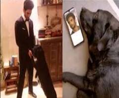 আজও সুশান্তের অপেক্ষায় তাঁর সর্বক্ষণের সঙ্গী ফজ