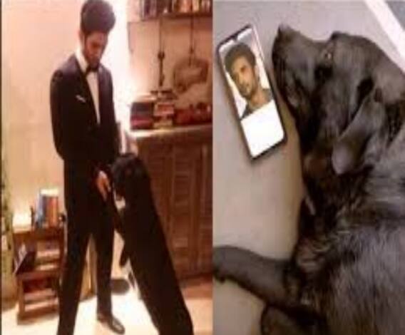 আজও সুশান্তের অপেক্ষায় তাঁর সর্বক্ষণের সঙ্গী ফজ