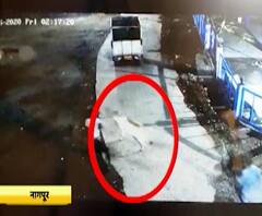 Nagpur Theft | लॉकडाऊनचा फायदा घेत 40 हजार लंपास, संचारबंदीत गायींचीही चोरी | स्पेशल रिपोर्ट