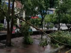 Nisarga Cyclone: नरीमन प्वाइंट में तेज हवाओं ने मचाया कहर, देखिए ग्राउंड रिपोर्ट