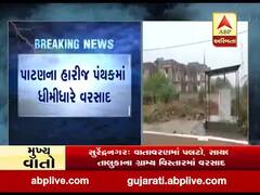 પાટણના હારીજ પંથકમાં ધીમીધારે વરસાદ, જુઓ વીડિયો