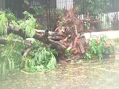 Horrifying visuals from Maharashtra's Kalyan & Dombivli | Cyclone Nisarga