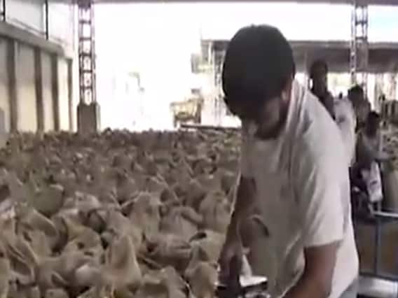 અમરેલીઃ સાતમાંથી બે કેન્દ્રો પર ટેકાના ભાવે ચણાની ખરીદી શરૂ થઇ, જુઓ વીડિયો