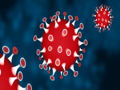 Hydroxychloroquine दवा पर अमेरिका से आई बड़ी खबर