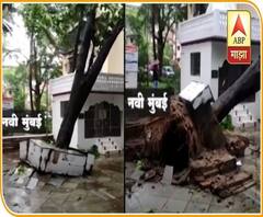 Cyclone Nisarga Navi Mumbai | नवी मुंबईत वाऱ्याच्या वेगाने पारासकट झाड कोसळलं, निसर्ग चक्रीवादळाचा परिणाम