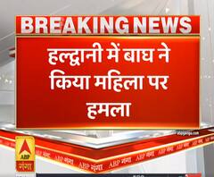 Uttrakhand Prime: हल्द्वानी में बाघ ने किया महिला पर हमला, हुई मौत | ABP Ganga