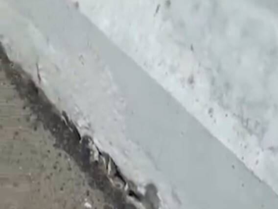 મહેસાણામાં સાપાવાળા પાસે રૂપેણ નદી પર એક વર્ષ અગાઉ બનેલા પુલની રેલિંગ તૂટી, જુઓ વીડિયો