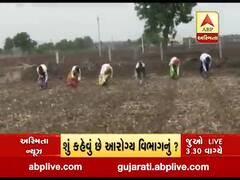 અમરેલીઃ બગસરા પંથક સિવાયના તમામ તાલુકાના ગામડાઓમાં વાવણીનો પ્રારંભ, જુઓ વીડિયો 