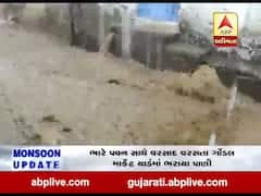અમરેલી: ખાંભા ગીરના ડેડાણમાં ધોધમાર વરસાદ, જુઓ વીડિયો
