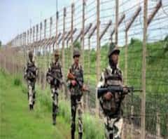 সেনা অভিযানে সাফল্য, জঙ্গিমুক্ত হল পুলওয়ামার ত্রাল এলাকা 