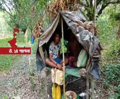 থাকতে দেওয়া হবে না বাড়িতে, পঞ্জাব থেকে ফিরে বাধ্য হয়েই গাছতলায় দিনযাপন পরিযায়ীদের
