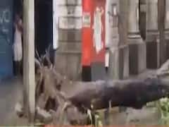 મુંબઇમાં અનેક વિસ્તારમાં ધોધમાર વરસાદ, ભારે પવનના કારણે વૃક્ષો ધરાશાયી